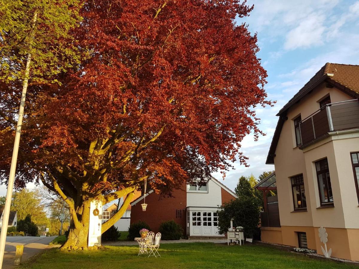 Ostsee Ferienwohnung Pelzerhaken Neustadt in Holstein Exterior foto